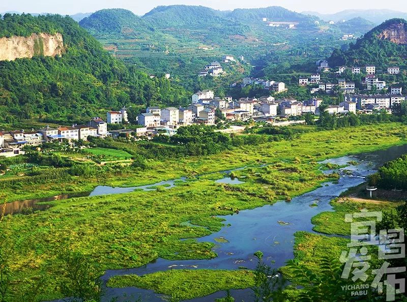 盛夏！好多宜昌人都在拍她