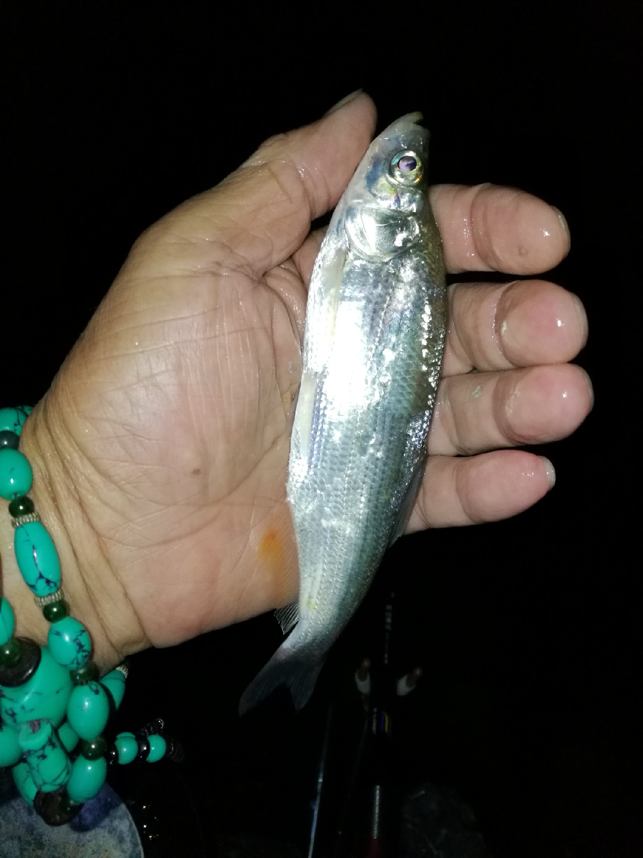 调整军事战略方针,调整战术与战略