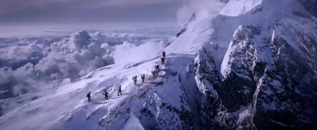 对话章泽天,与抹茶对话