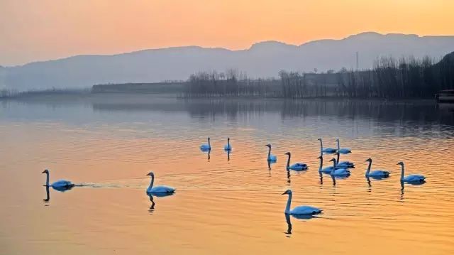 河南小名叫什么,河南南阳的名字是怎么来的