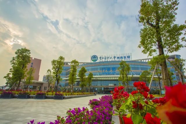 广东省前十医科排名,南海区人民医院在广东排名