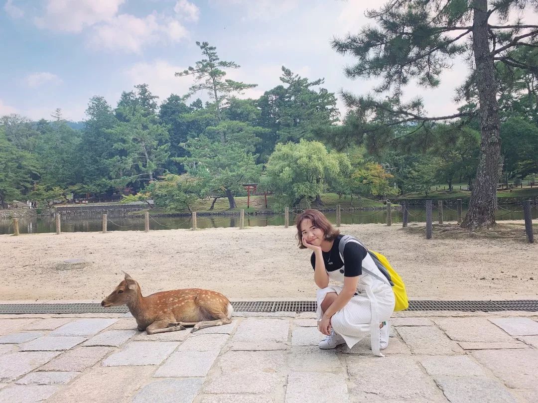 坐游轮去日本旅游攻略,第一次去日本应该去哪里旅游