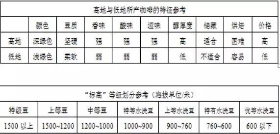 万字雄文说透咖啡:虽然经常捧着它,但你真的了解多少呢?