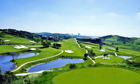 远方的客人请你留下来是红歌吗,宿迁最有魅力的地方