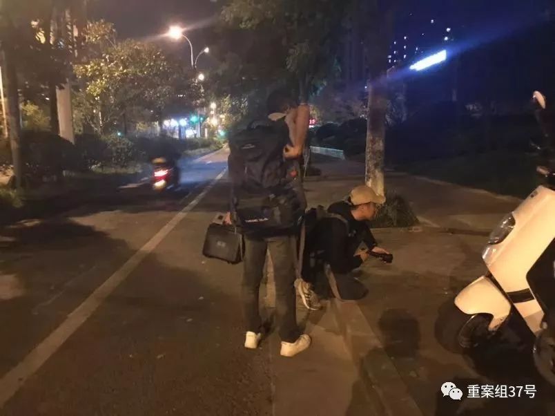宠物“侦探”：摸透了猫狗习性，也看到了复杂人性