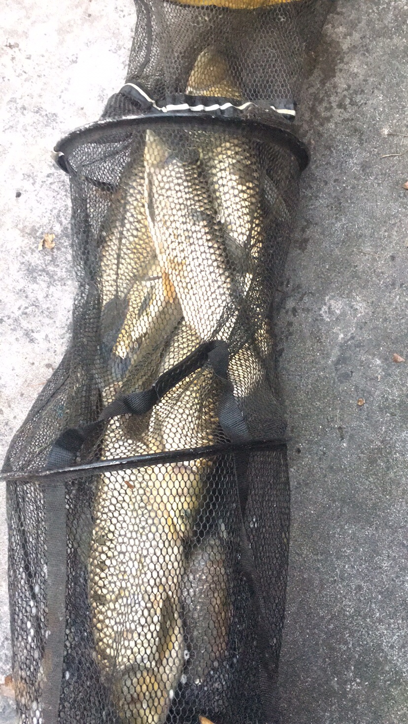 假期回家阖家欢乐,假期来郊外玩心情美美哒