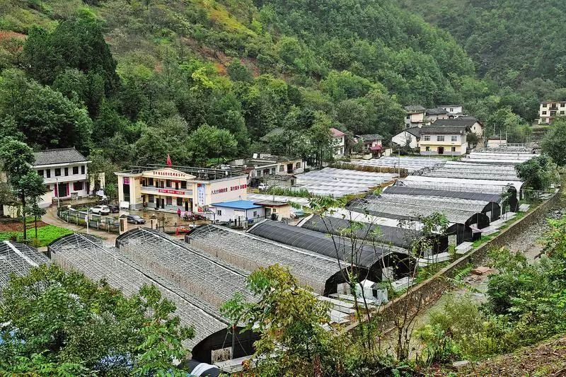 「小编说新闻」10月8日0点，国内成品油迎来年内“第20次调整”；商洛城区一鸡排店乱倒餐厨污水垃圾，被处罚200元