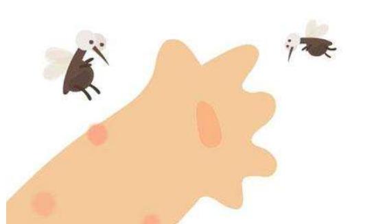 预防登革热清除蚊虫宣传知识,防止登革热关键是消灭蚊子对吗