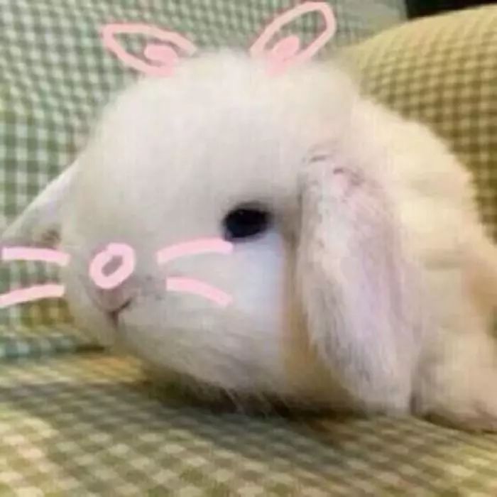 谁还不是个小可爱呢下一句,谁还不是小可爱