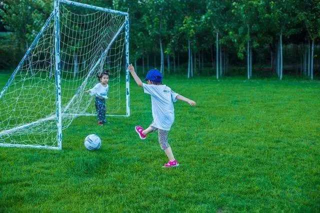 上海风筝大赛,松江举办大型比赛