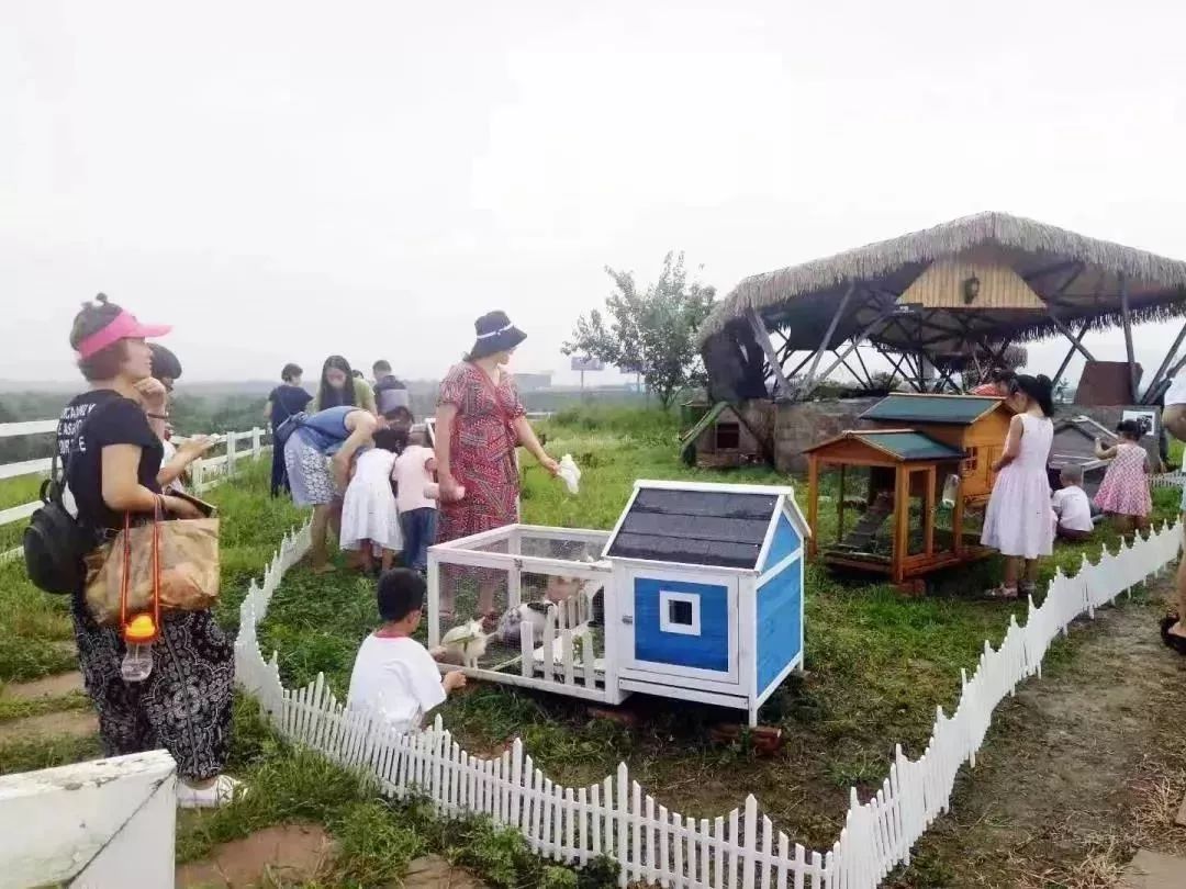 国庆黄金周，青白江接待游客56.89万人次！