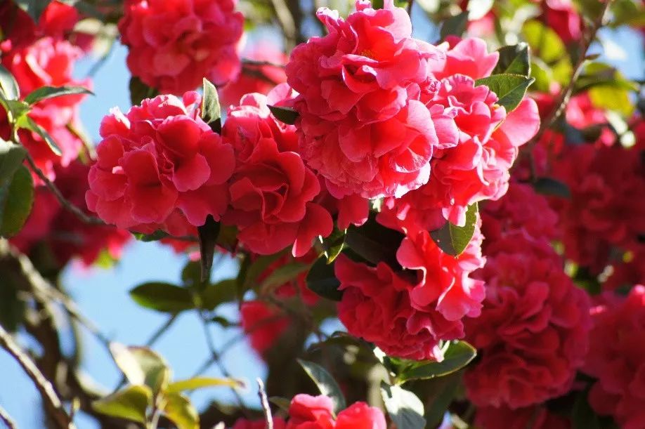 那些年我们听过的民谣歌曲,十首封神的民谣台湾