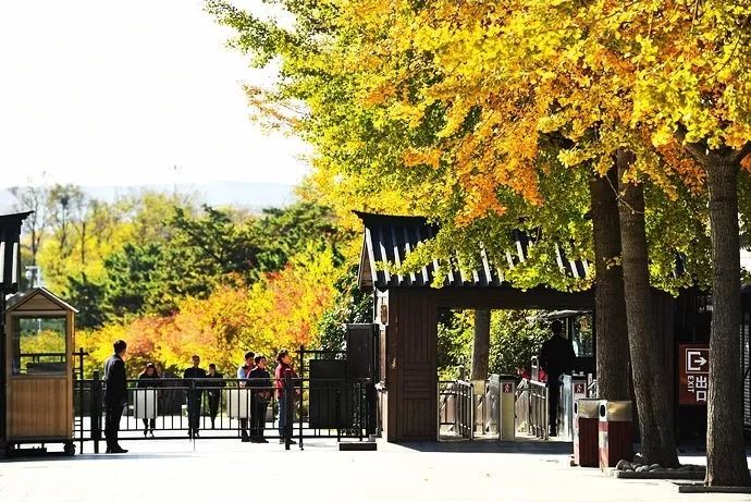 蓬莱夏天的海边,带你领略蓬莱好风景
