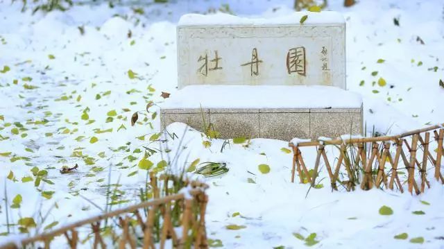 智汇京师共创一流|北京师范大学青年学者论坛通知