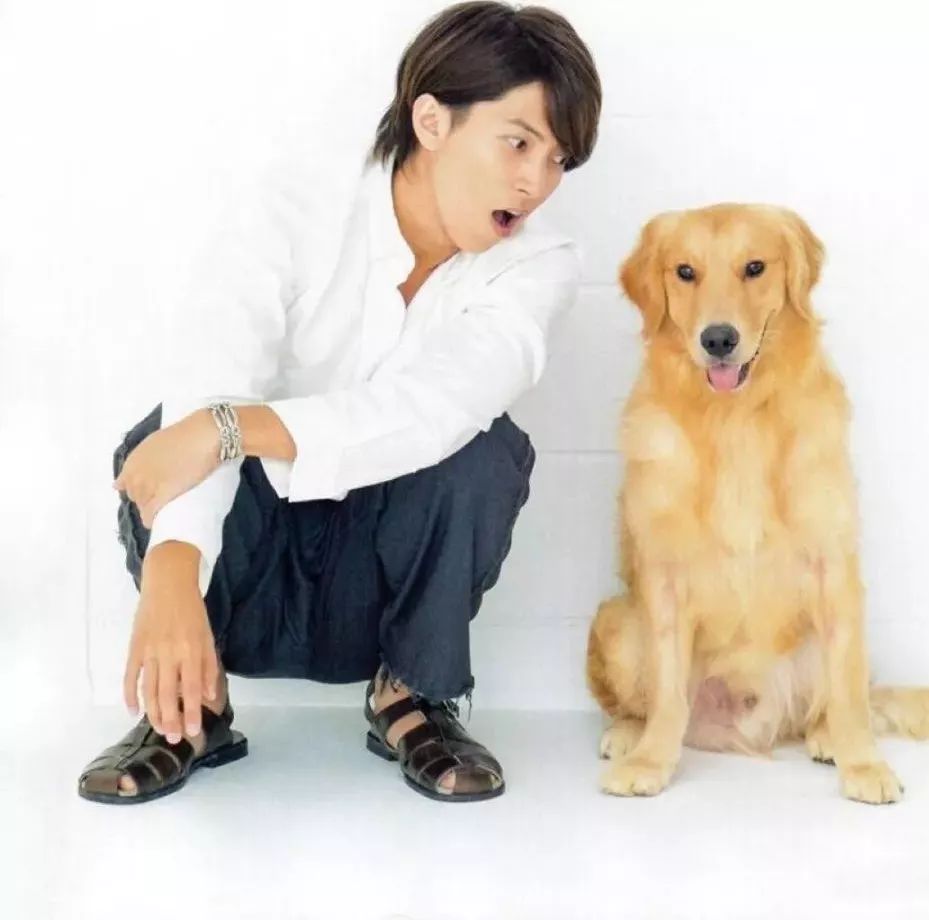 日本票选「最想和他生猴子的男星」,小奶狗和小狼狗谁赢了？