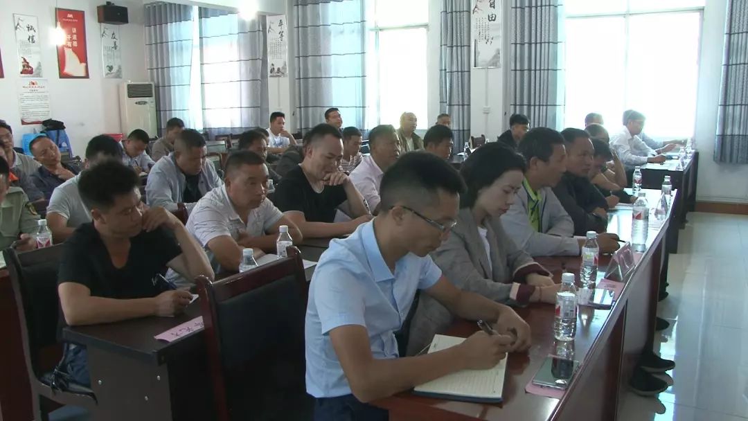 沙田镇佛手瓜种植,佛手瓜种植基地