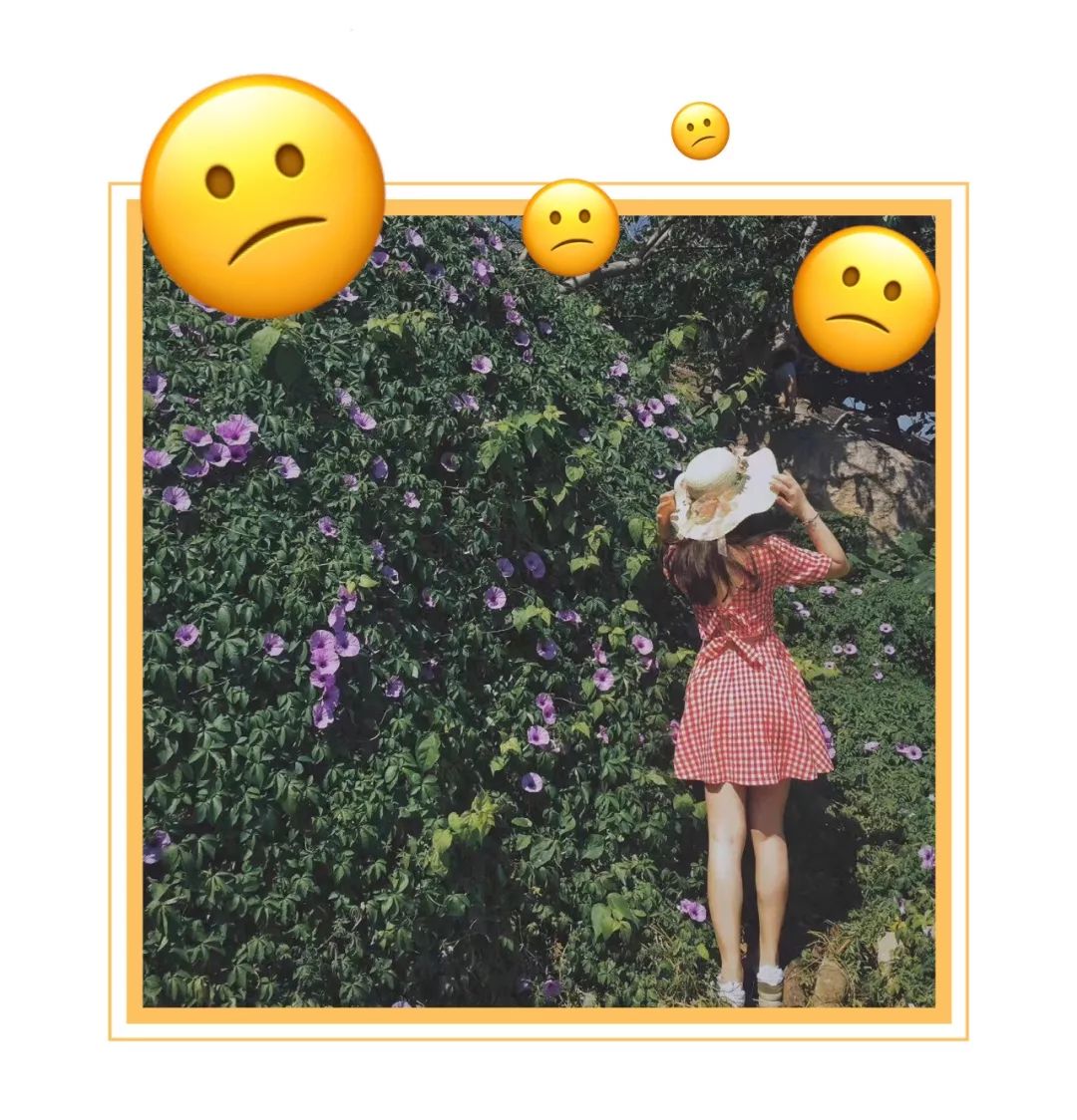 脑子进水才买的车,去国外必买的十种纪念品