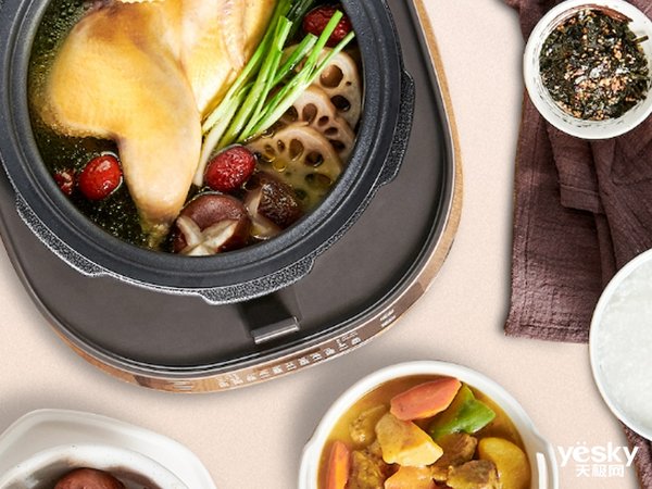 压力锅测评,电压力锅质量排名前十名科普