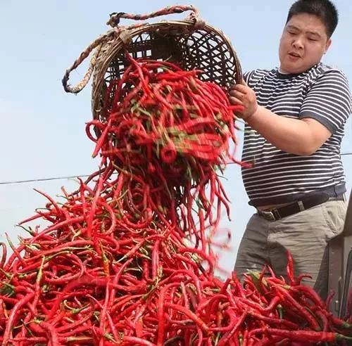 成都天府新区永安生物科技产业园,双流永安生物城二期