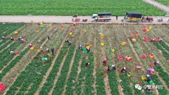 宁夏固原：七十年改山治水得俊颜“贫瘠甲天下”之地换了人间