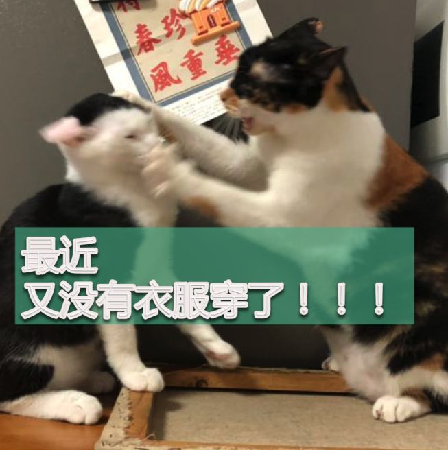 卡地亚满钻手镯窄版高定,卡地亚新款手镯时尚减龄黄金