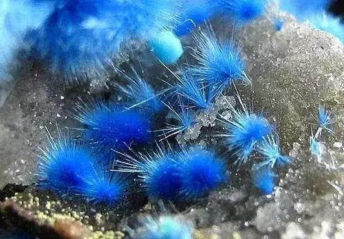 谁还不是个小可爱呢下一句,谁还不是小可爱