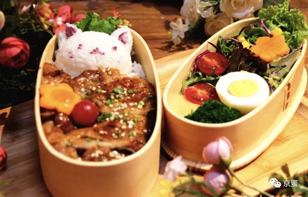 北京大型撸猫馆推荐,三里屯撸猫的地方