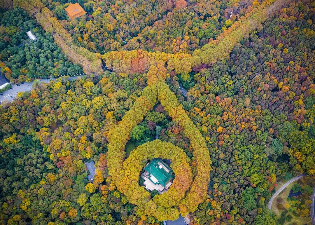 寻找国内十大最美秋色,10月最美秋色