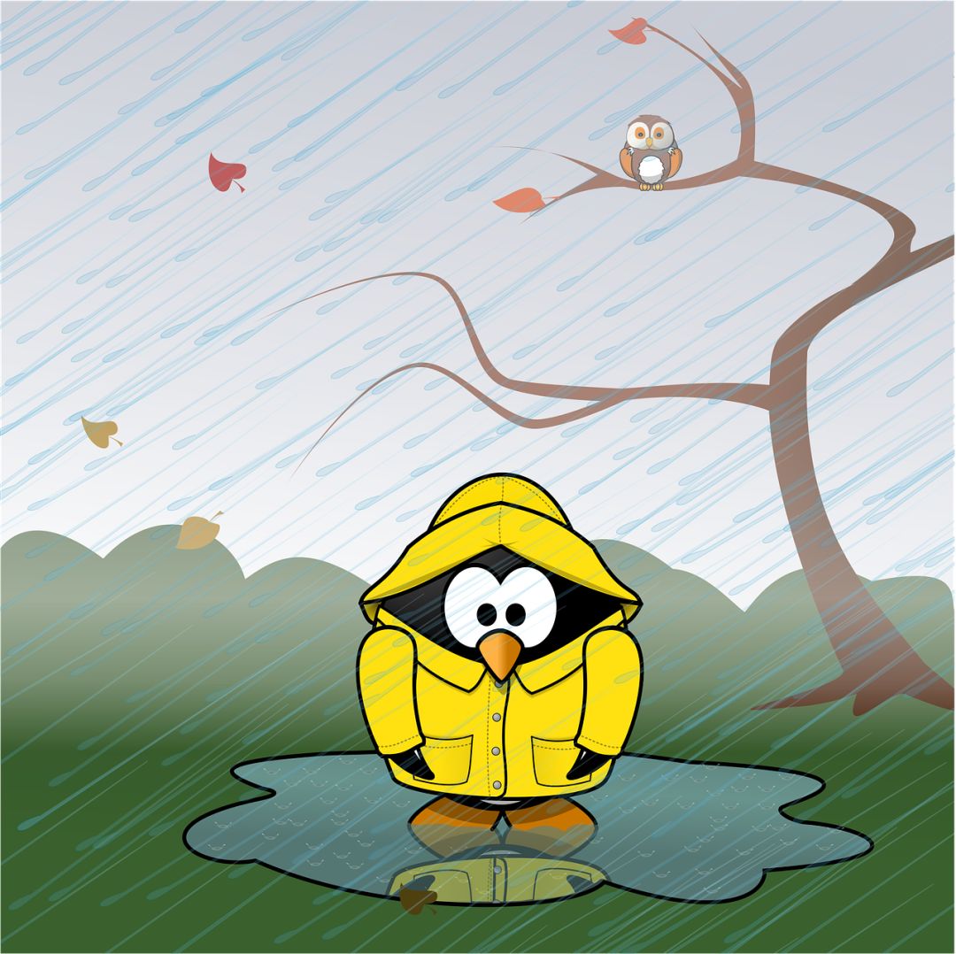 英文表达天气冷的句子,天冷了记得添衣服台词