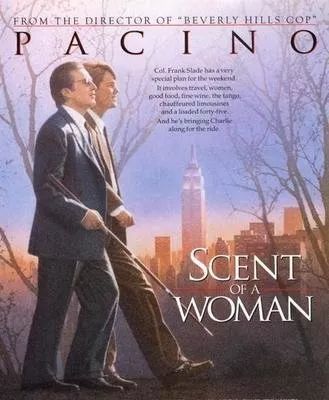 国际盲人节：假如让我三天失明