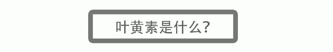 对眼睛好的叶黄素哪个牌子好,蓝莓叶黄素对眼睛真的有用吗