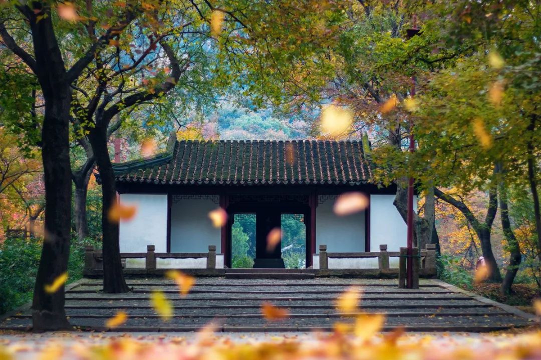 苏州吃蟹路线,苏州吃太湖蟹攻略