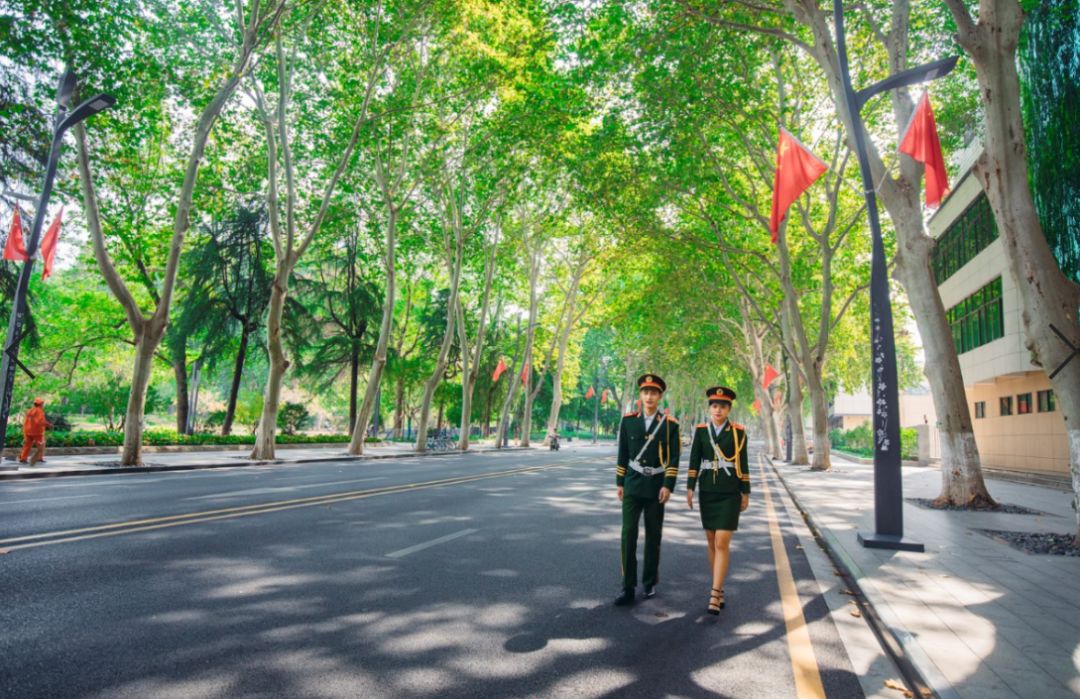 到这十条林荫道上走一走，每条都能邂逅俊男美女