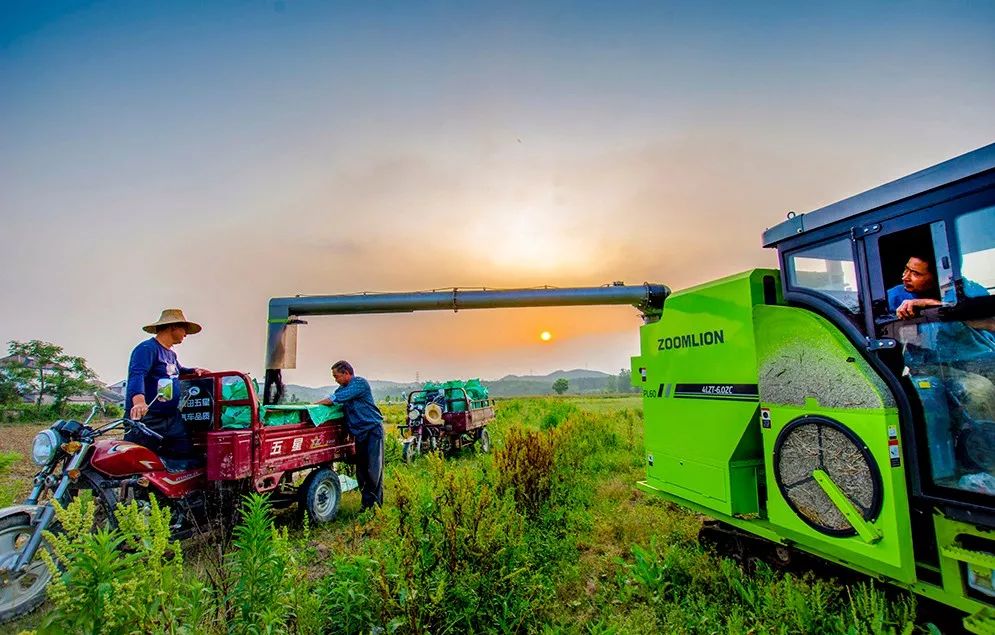 瀹夊窘姹犲窞鍐滄潙鐢熸椿璁板綍,姹犲窞娓哥帺鏃ヨ