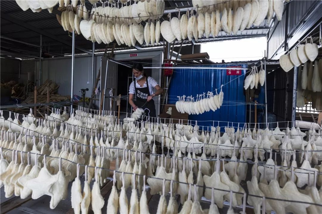 瀹夊窘姹犲窞鍐滄潙鐢熸椿璁板綍,姹犲窞娓哥帺鏃ヨ