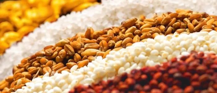 都说香槟是庆功酒，那为了这件事，我们得开200多瓶香槟