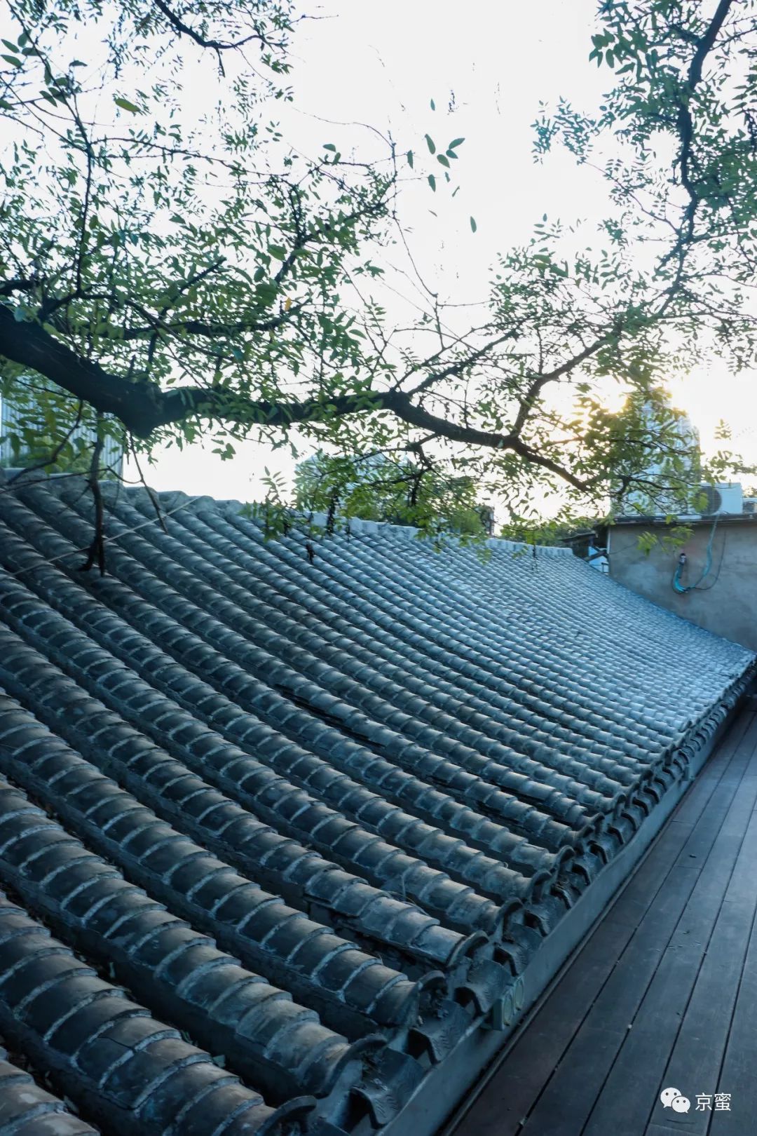 这家隐藏在胡同里的民宿不简单!邓伦都来打卡,你想住吗?,福利