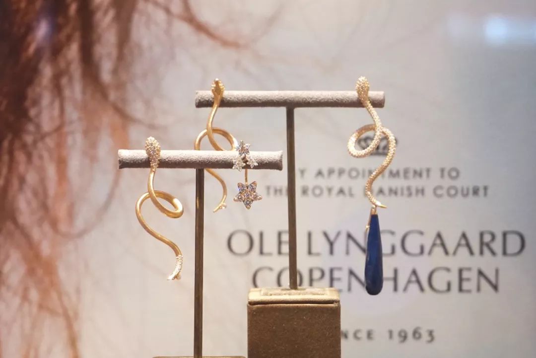 去海牙最好的地方,海牙游览