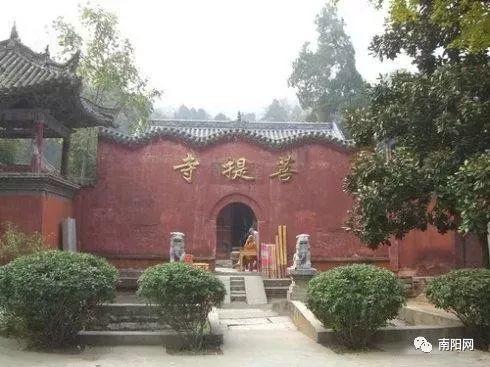 南阳一地入选全国试点,中国骄傲最新消息