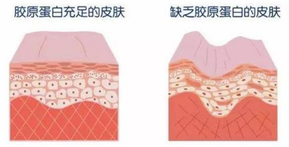 完美女神竟是“宠夫狂魔”？实力圈粉上演浪漫双重奏