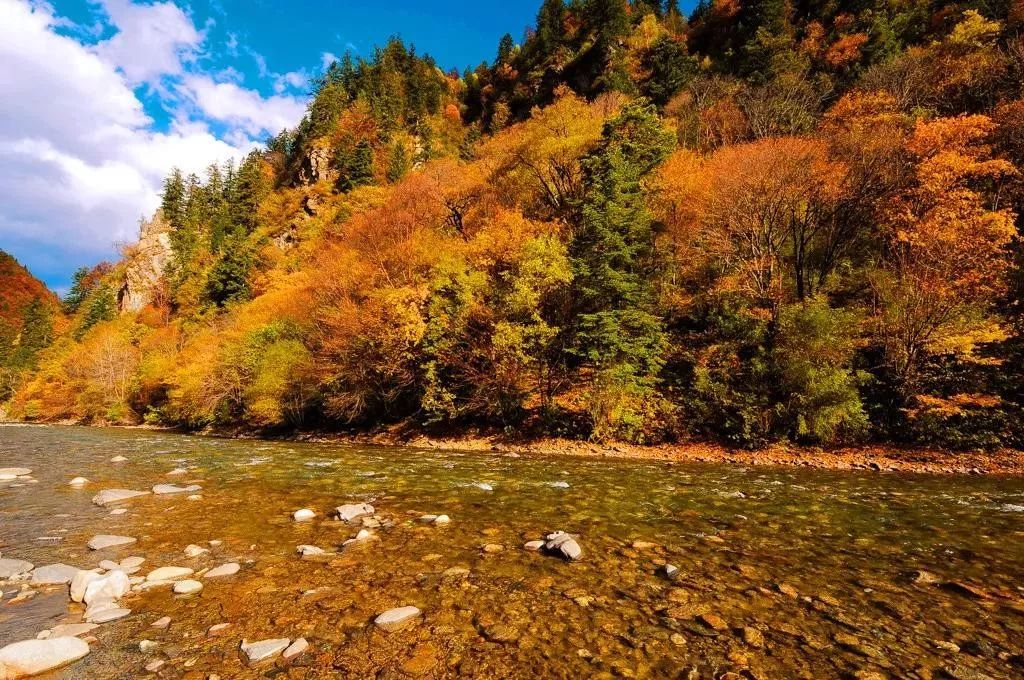 秋天的川西彩林,川西彩林最佳观赏地点