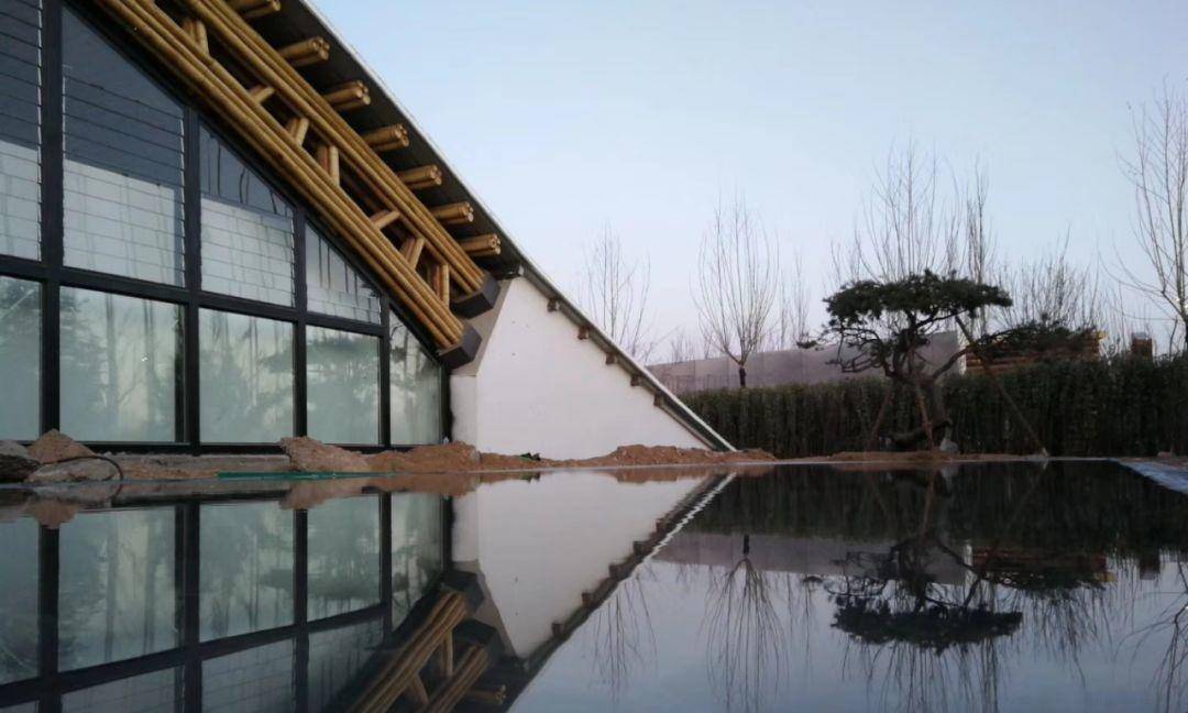 竹子的优点有哪些,竹子很有营养吗