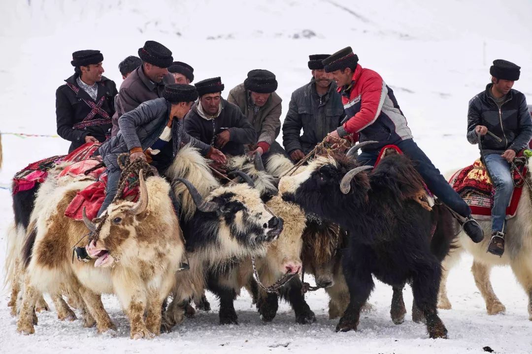 和青藏高原一样高的地方,比青藏高原还高的高原