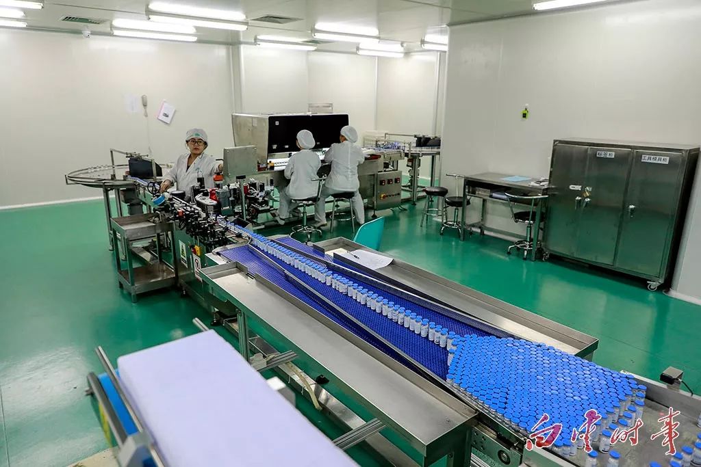 知道吗？这些家中常备药，都出自白云哦！