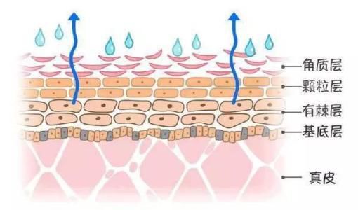 化妆老是搓泥是不是用面霜的原因,脸化妆为什么老是搓泥