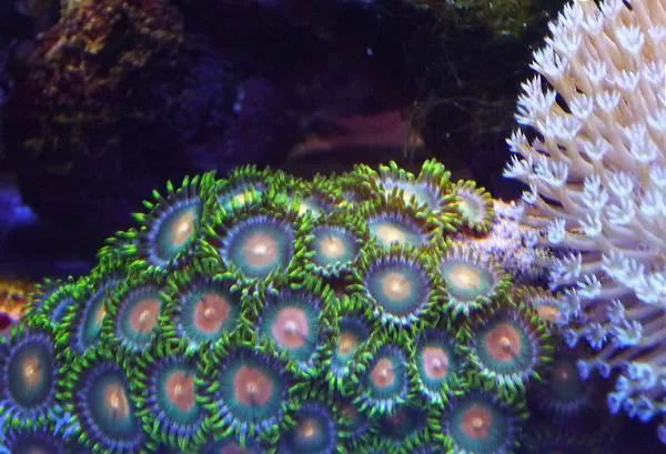 这是人家十年前的缸？我这些年瞎玩了……