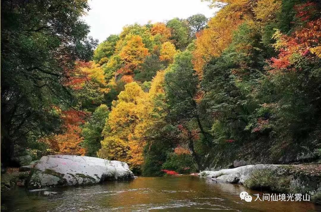 秋天的川西彩林,川西彩林最佳观赏地点