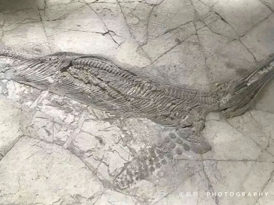 分享自驾游的快乐时光,安顺旅游攻略三天自由行