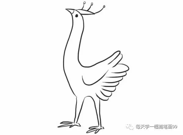 二年级孔雀简笔画简单又好看,叶罗丽孔雀简笔画简单又漂亮