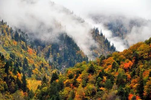 秋天的川西彩林,川西彩林最佳观赏地点